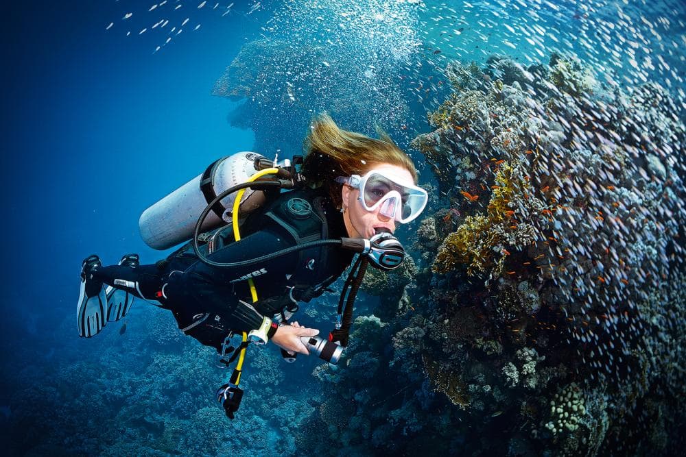 OPEN WATER DIVER COURSE